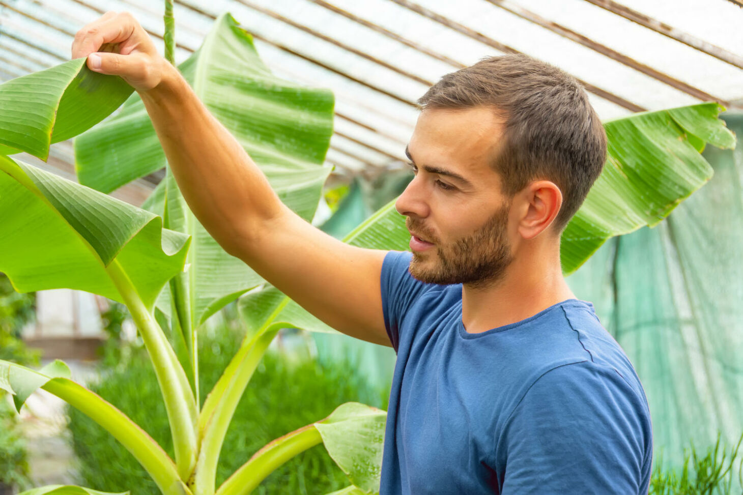 Blattl Use Bek Mpfen Wirksame Hausmittel Garten Haus