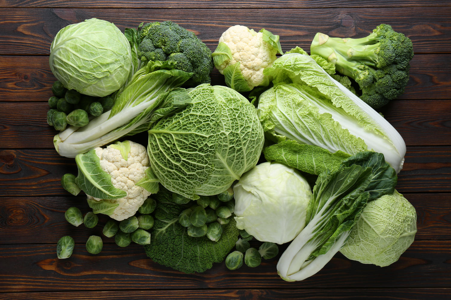 Spitzkohl Richtig Lagern So Bleibt Er Lange Frisch