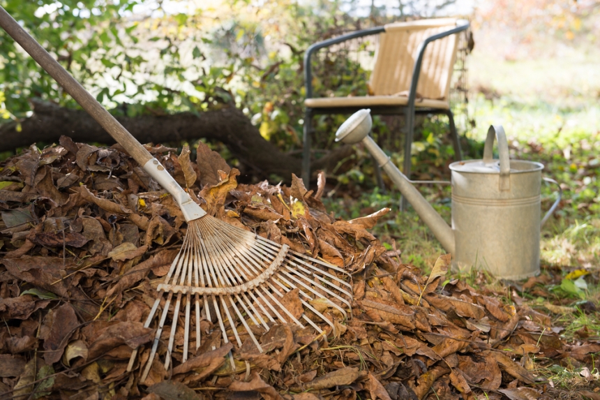 Laub Im Garten Untergraben Vorteile Anleitung